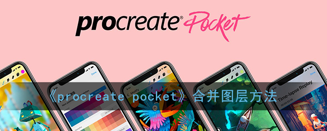《procreate pocket》合并图层方法