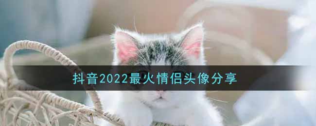 抖音2022最火情侣头像分享