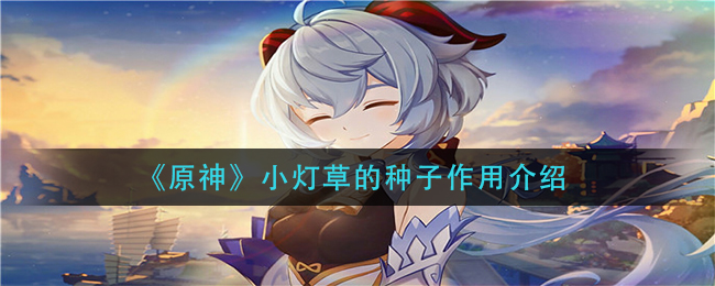 原神：揭秘小灯草种子的秘密