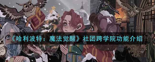 《哈利波特：魔法觉醒》社团跨学院功能介绍