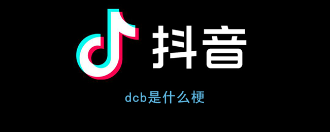dcb梗究竟是什么,网络热梗解析
