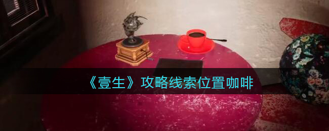 《孙美琪疑案：壹生》五级线索——咖啡