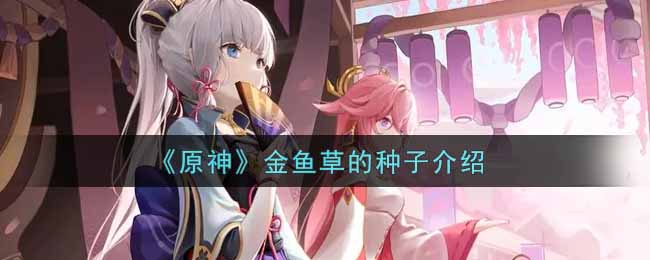 《原神》金鱼草的种子介绍