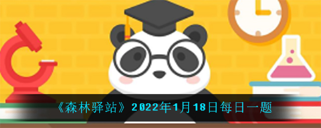 《森林驿站》2022年1月18日每日一题