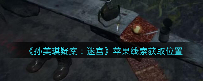 《孙美琪疑案：迷宫》五级线索——苹果