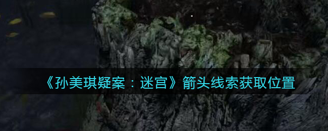 《孙美琪疑案：迷宫》五级线索——箭头
