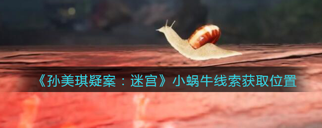 《孙美琪疑案：迷宫》五级线索——小蜗牛