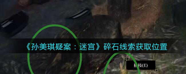 《孙美琪疑案：迷宫》五级线索——碎石