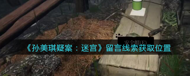 《孙美琪疑案：迷宫》五级线索——留言