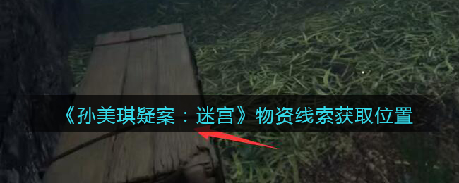 《孙美琪疑案：迷宫》五级线索——物资