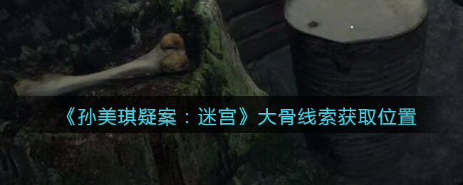 《孙美琪疑案：迷宫》五级线索——大骨