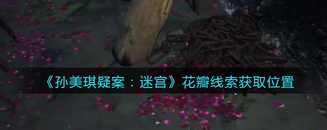 《孙美琪疑案：迷宫》四级线索——花瓣