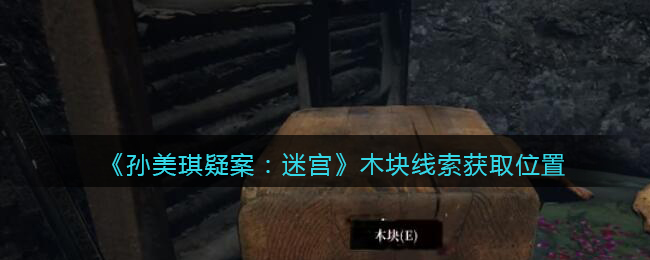 《孙美琪疑案：迷宫》四级线索——木块
