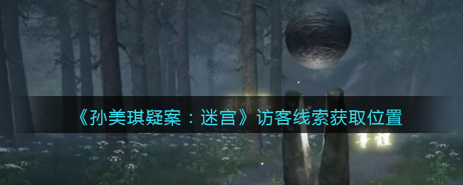 《孙美琪疑案：迷宫》三级线索——访客