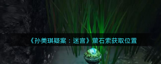 《孙美琪疑案：迷宫》三级线索——萤石