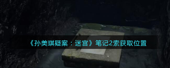 《孙美琪疑案：迷宫》三级线索——笔记2