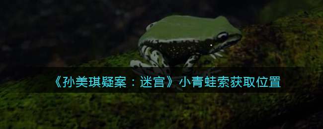 《孙美琪疑案：迷宫》五级线索——小青蛙