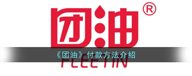 《团油》付款方法介绍