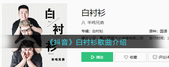 《抖音》白衬衫歌曲介绍