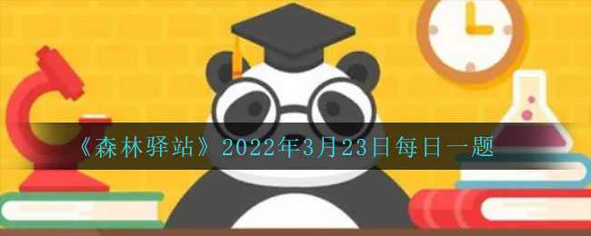 《森林驿站》2022年3月23日每日一题