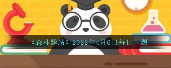 《森林驿站》2022年4月6日每日一题