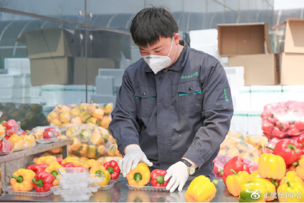 耗资800万！鹰角网络捐赠600余吨蔬菜，用于上海疫情防控工作