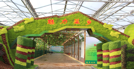 耗资800万！鹰角网络捐赠600余吨蔬菜，用于上海疫情防控工作
