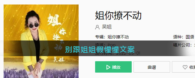 “姐姐面前无需伪装文案”