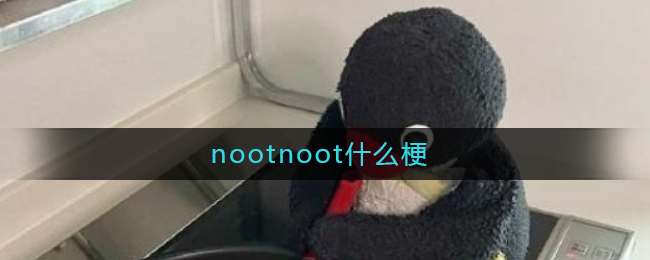 nootnoot什么梗