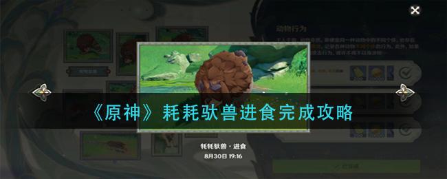 “原神：如何喂食耗耗驮兽”