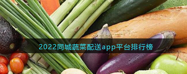 2022同城蔬菜配送app平台排行榜