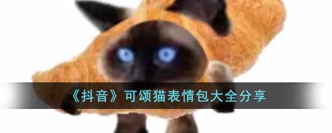 《抖音》可颂猫表情包大全分享