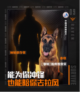 《黎明觉醒：生机》来了一位新成员！中国消防搜救犬泰格出任黎明首席搜救官