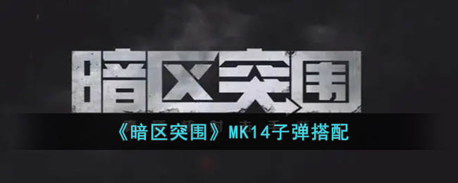 《暗区突围》MK14子弹搭配