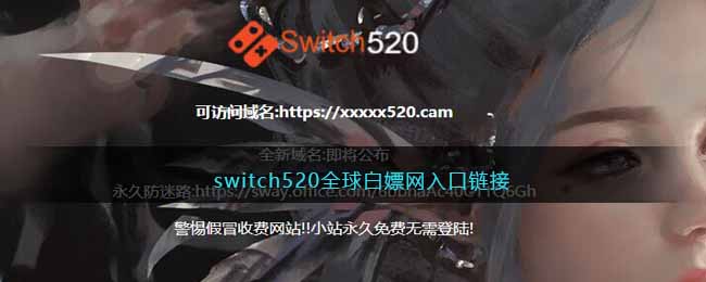 switch520全球白嫖网入口链接