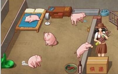 《汉字达人》美梦养猪帮猪过上精致的生活通关攻略 二次世界 第3张