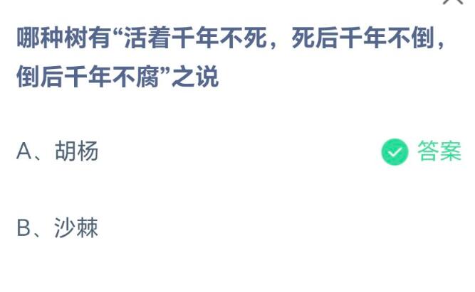 哪种树有活着千年不死死后千年不倒倒后千年不腐之说