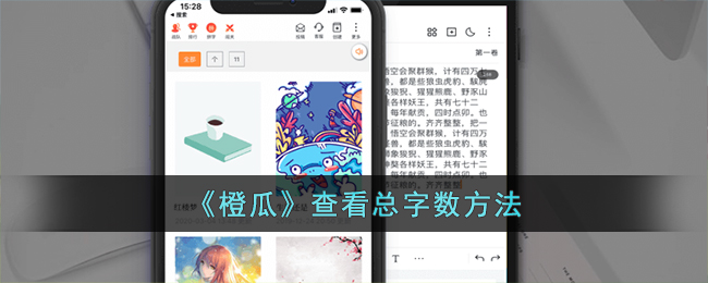 《橙瓜》查看总字数方法