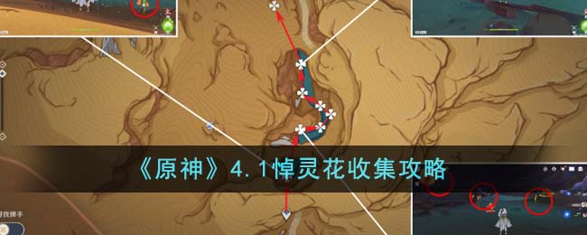《原神》4.1悼灵花收集攻略