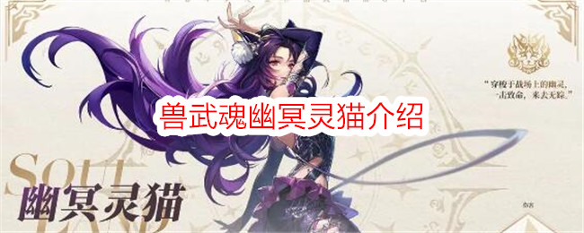 《斗罗大陆：史莱克学院》兽武魂幽冥灵猫介绍