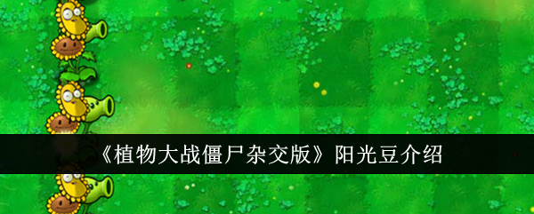 《植物大战僵尸杂交版》阳光豆介绍