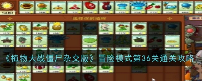 《植物大战僵尸杂交版》冒险模式第36关通关攻略