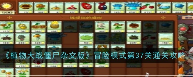 《植物大战僵尸杂交版》冒险模式第37关通关攻略