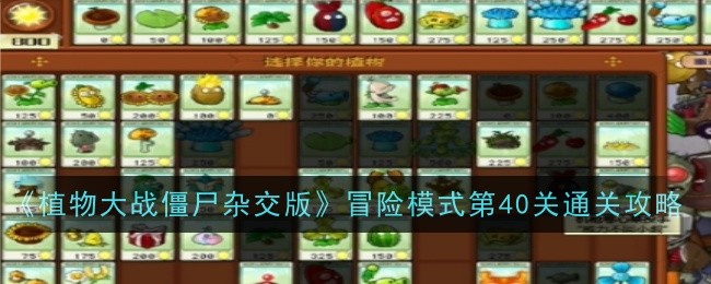 《植物大战僵尸杂交版》冒险模式第40关通关攻略