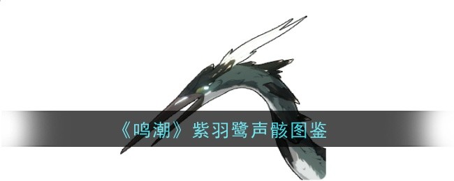 《鸣潮》紫羽鹭声骸图鉴