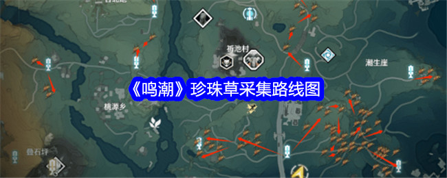 《鸣潮》珍珠草采集路线图