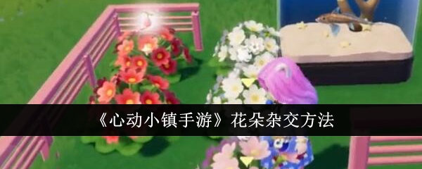 《心动小镇手游》花朵杂交全攻略_《心动小镇手游》花朵杂交全指南