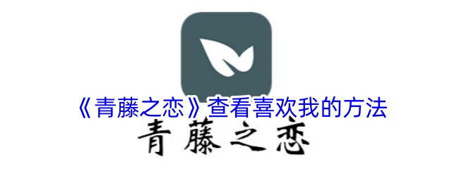 《青藤之恋》查看喜欢我的方法