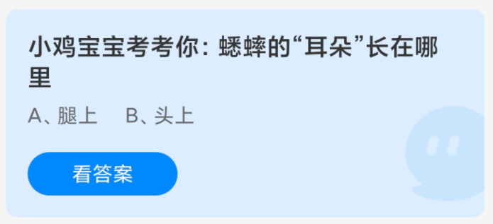 《支付宝》蚂蚁庄园8月答案大全2024