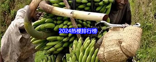 2024热梗排行榜-漫游窝